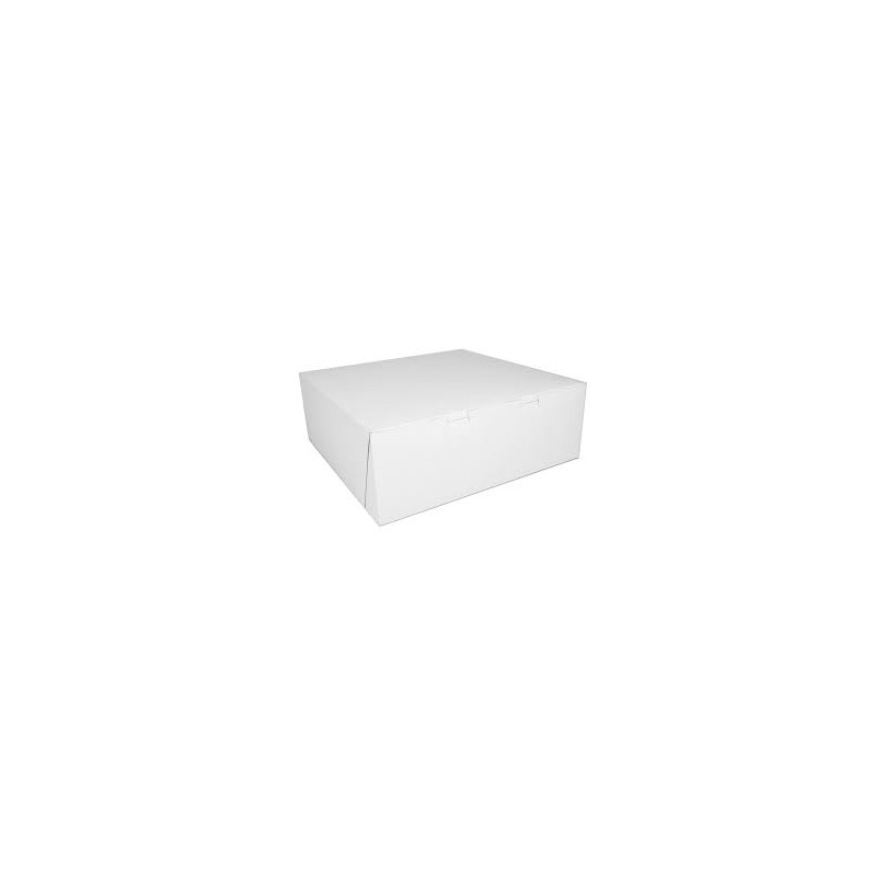 CAJA DE CARTON 10X10"