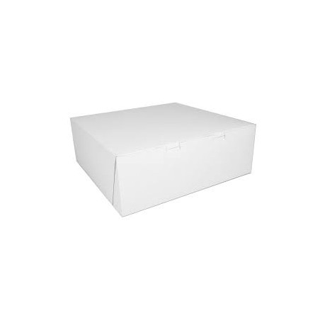 CAJA DE CARTON 10X10"