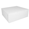 CAJA DE CARTON 10X10"